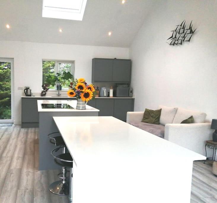 Exning The Highlands - 5 Bed 5 Bath - Huge Sociable Houseヴィラ エクステリア 写真